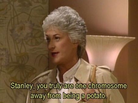 Dorothy Zbornak Golden Girls comedy sitcom Bea Arthur Buena Vista Entertainment TV Show